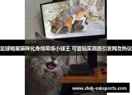 足球明星猫咪化身绿茵场小球王 可爱搞笑画面引发网友热议 足球明星猫咪化身绿茵场小球王 可爱搞笑画面引发网友热议
